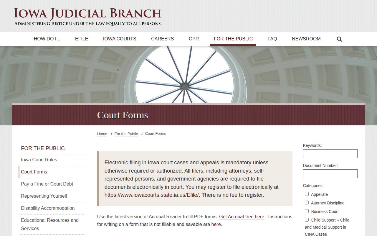 Iowa Courts forms page showing the Expunge Court Record category
